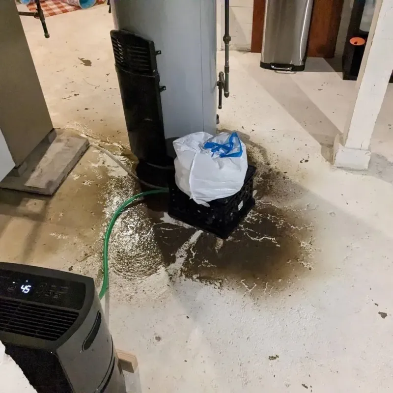 Sewage Backup Cleanup Service in Wormleysburg, PA